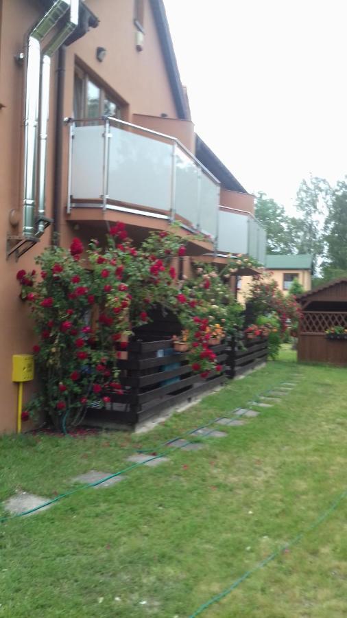 Na Wiejskiej Mrzeżyno Dış mekan fotoğraf